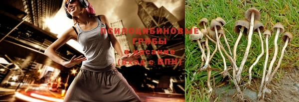 стаф Алзамай