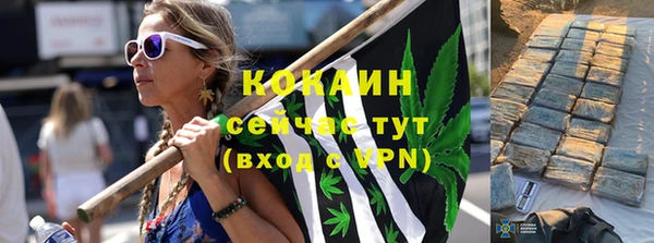 стаф Алзамай