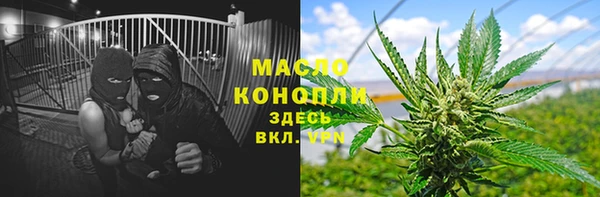 шишки Переславль-Залесский