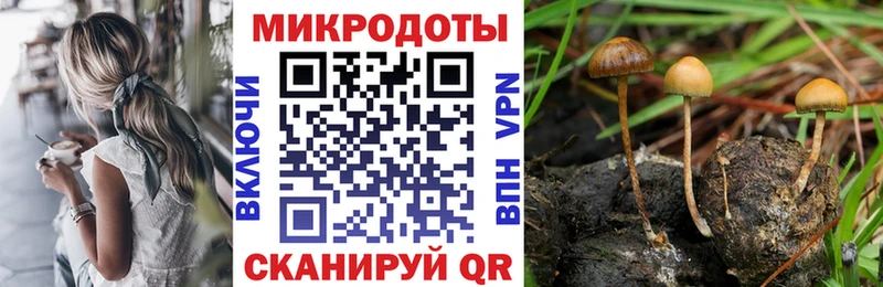 Псилоцибиновые грибы Cubensis  как найти закладки  Богородск 